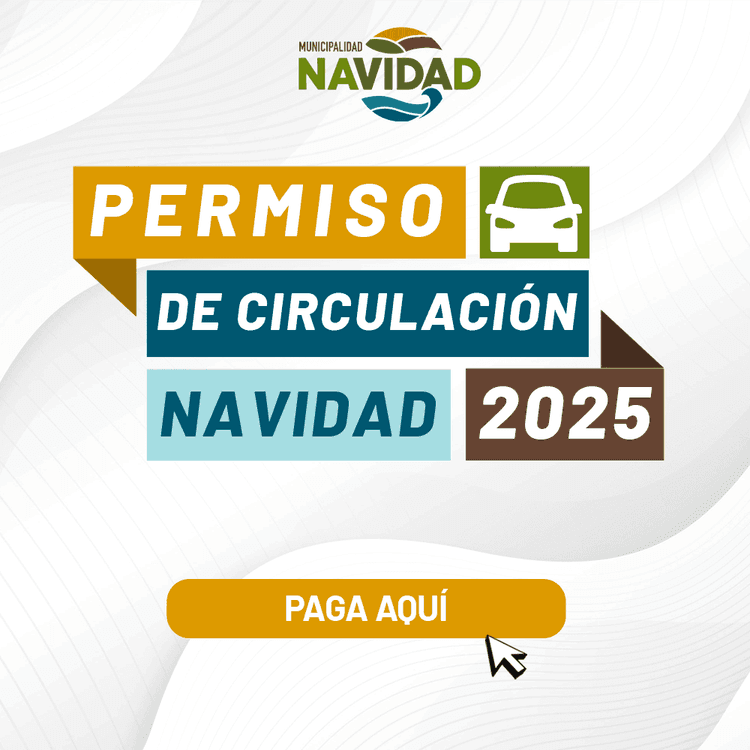 Permisos Circulación 2025