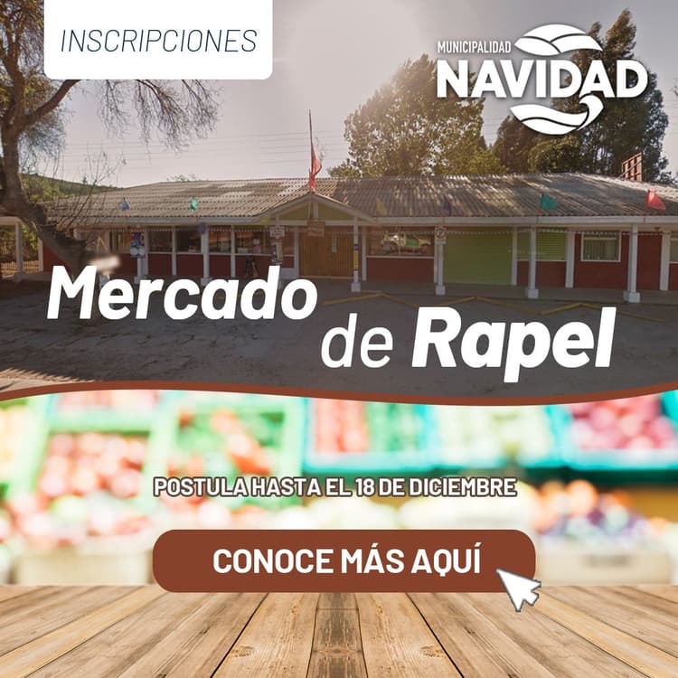 Bases Mercado Rapel